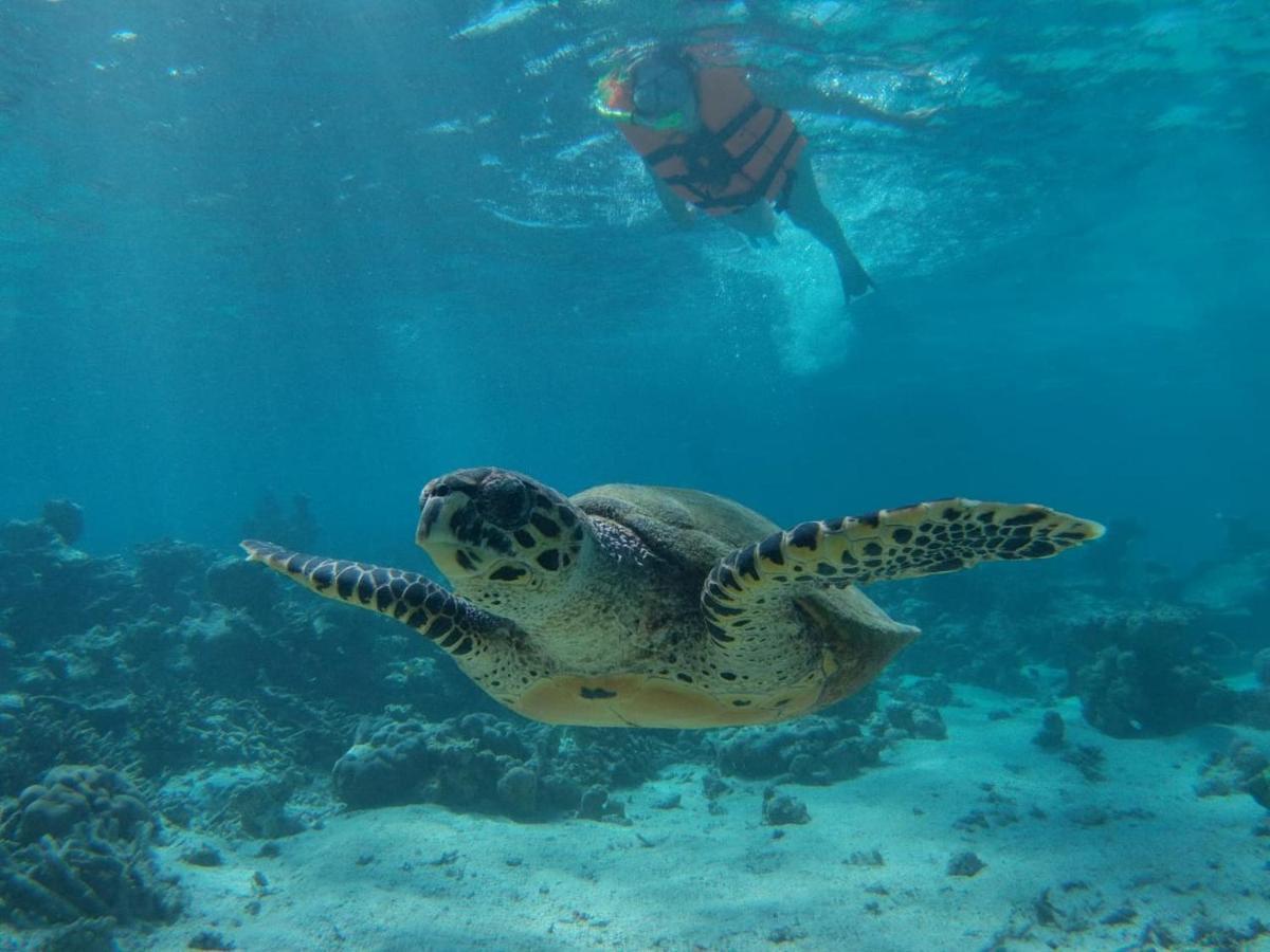 Chambao Maldives Otel Guraidhoo  Dış mekan fotoğraf