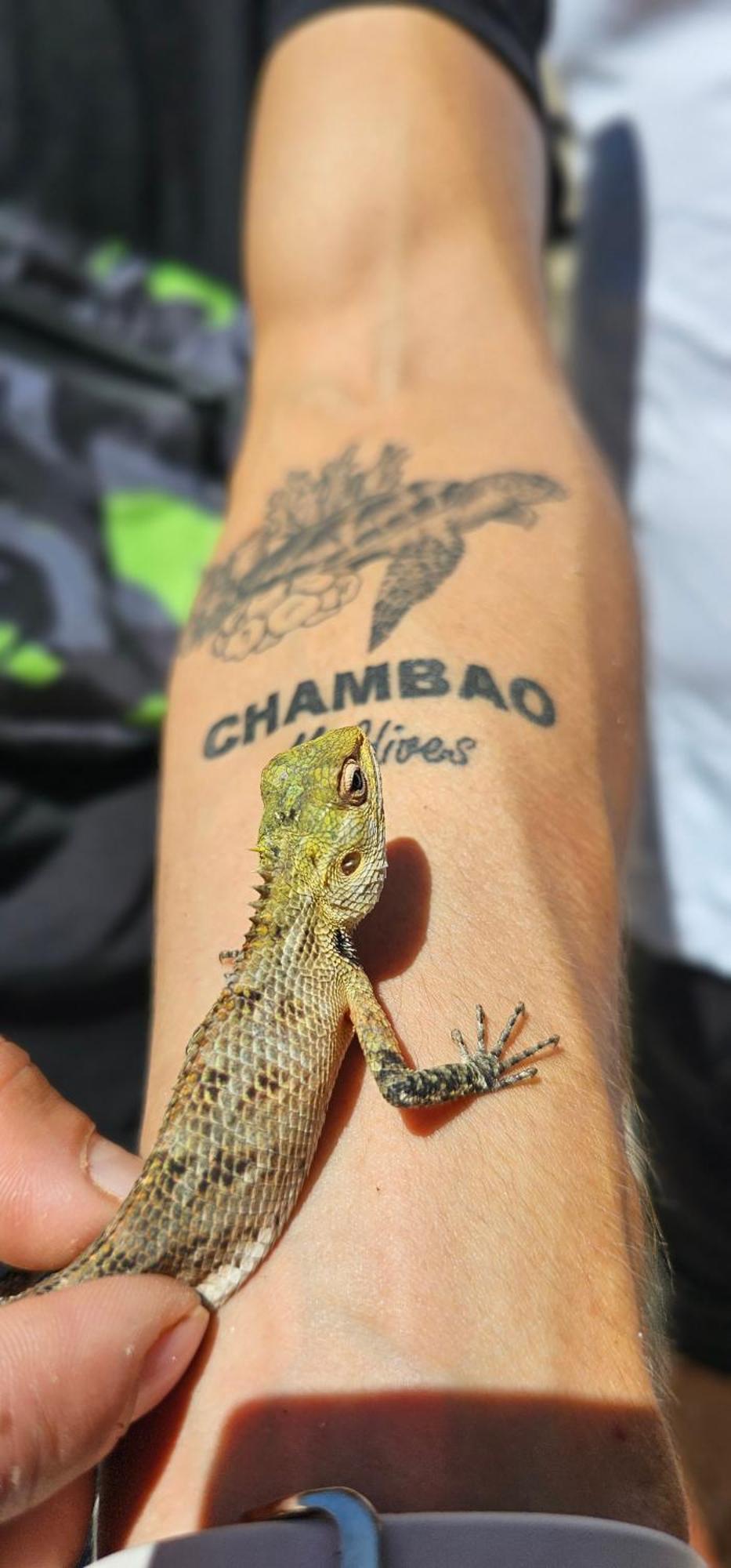 Chambao Maldives Otel Guraidhoo  Dış mekan fotoğraf